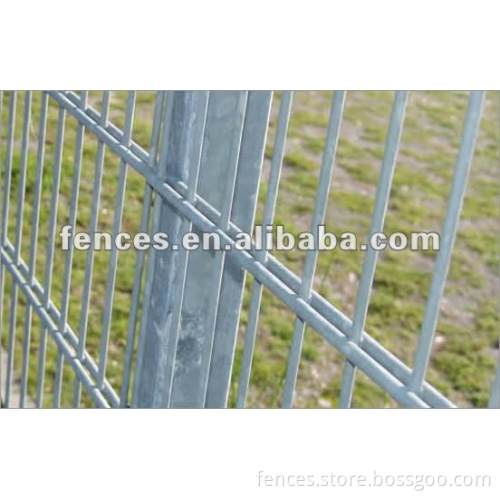 galvanized/PVC coated Double Wire garden Fence
